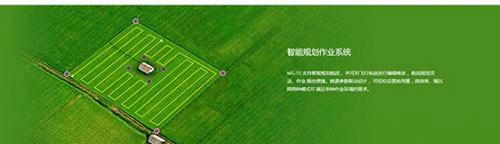 156592262917.jpg 6.jpg