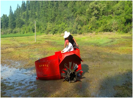 156592612079.png image.png