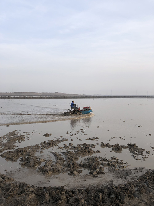 156930901978.jpg 1.jpg